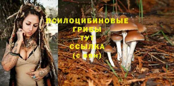каннабис Абдулино