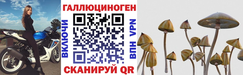 Псилоцибиновые грибы Cubensis  Аксай 